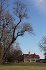 IMG 0903copy