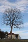 IMG 0955copy