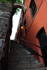 IMG_3147copy.JPG