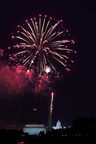 IMG 3372copy