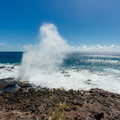 LR-IMG 7339
