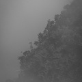 LR-IMG 7522