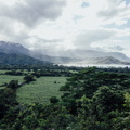 LR-IMG 7537