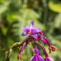 LR-IMG 7576