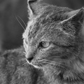 LR-IMG 7584