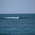 LR-IMG 7703