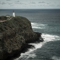 LR-P2023442